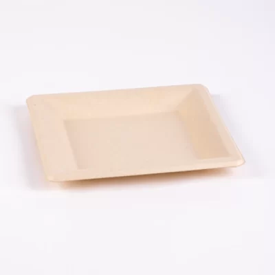 SUGARCANE SQUARE PLATE 8" 10*50PCS صحن صحي 8 انش مربع