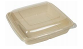 1000ML SUGARCANE CONT. SQUARE W/LID 300PCS شكركان مربع
