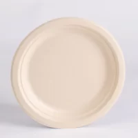 SUGARCANE ROUND PLATE 10"  10*50 PCS صحن صحي 10 انش
