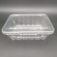 CLEAR ARNON CONT.360 PCS ماعون ارنون شفاف 360حبة - -