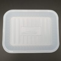 No. 2 WHITE RECT. DISH 20*50 PCS صحن مستطيل