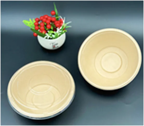 SUGARCANE COLLECTIONS