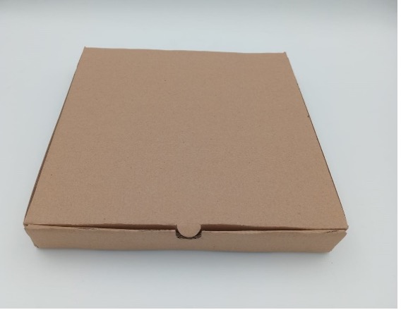 Pizza Box and Paper Plate